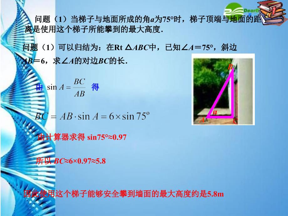 282解直角三角形10_第4页