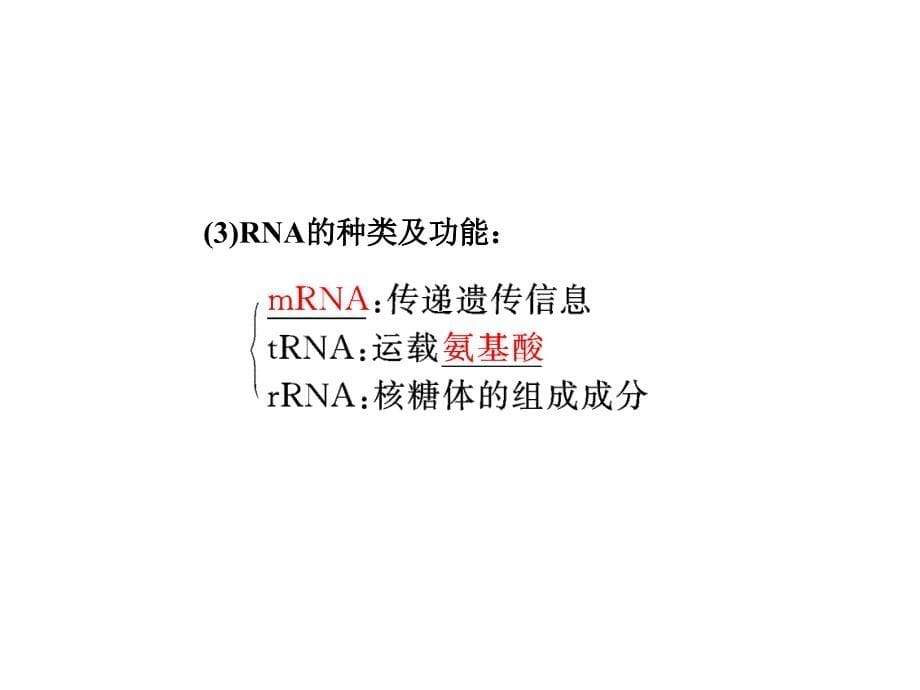 高三生物一轮第十章基因表达_第5页