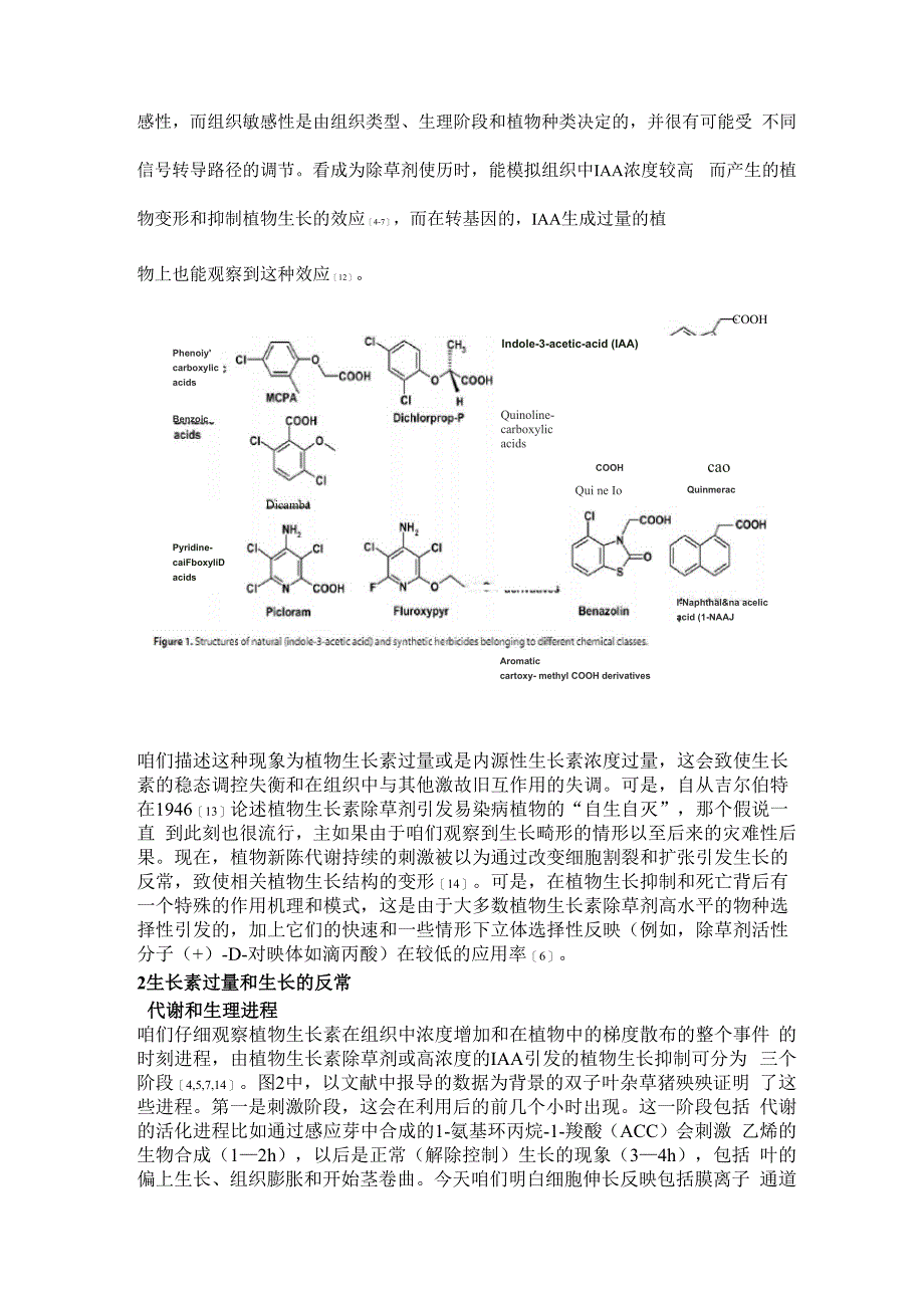 植物生长素除草剂作用机理与模式的现状_第3页