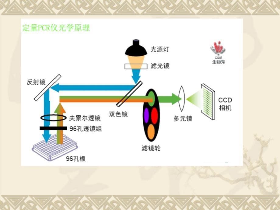 常见荧光定量PCR仪汇总课件_第5页