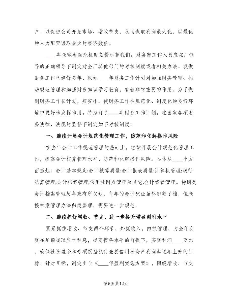 项目会计年度工作计划范文（七篇）.doc_第5页