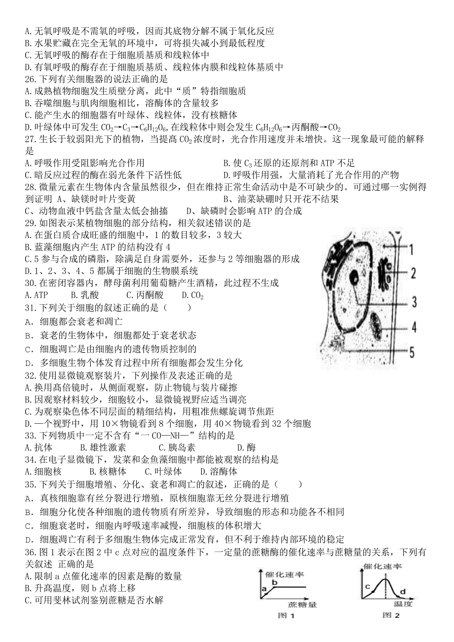 高中生物一轮复习练习题及答案.doc_第3页