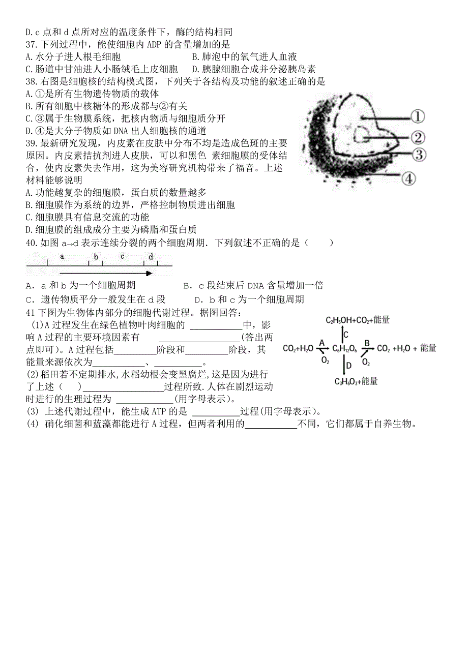 高中生物一轮复习练习题及答案.doc_第4页