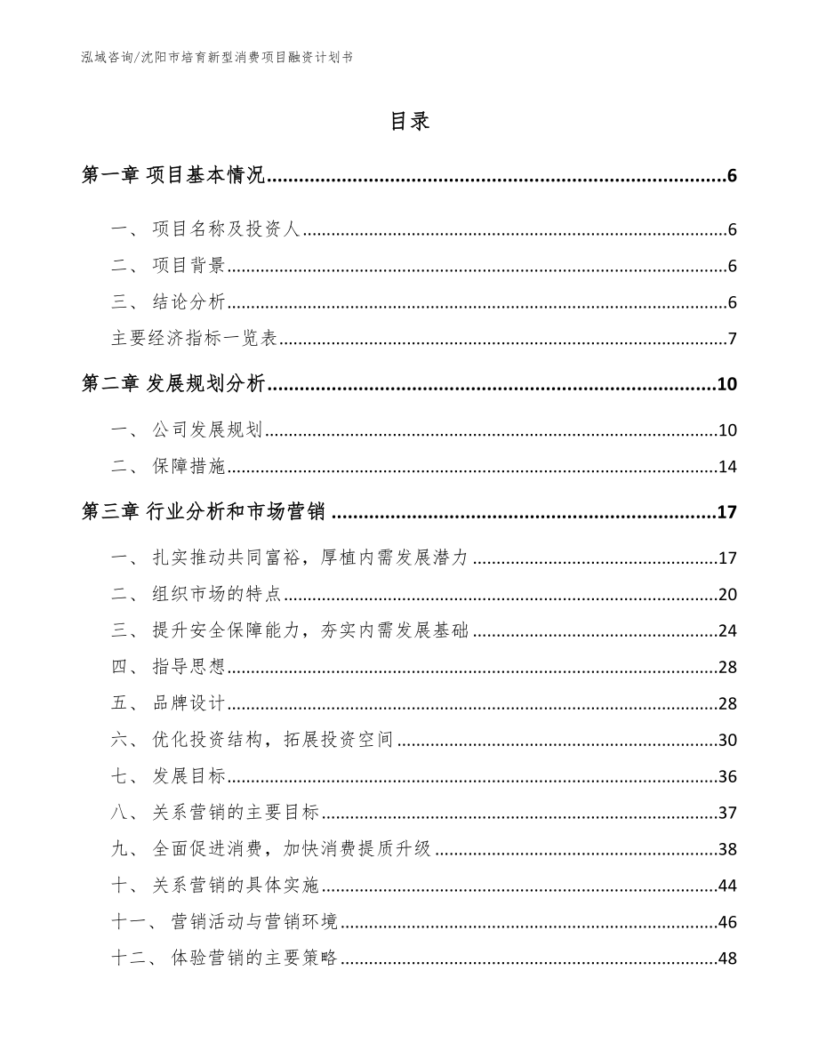 沈阳市培育新型消费项目融资计划书_范文_第2页