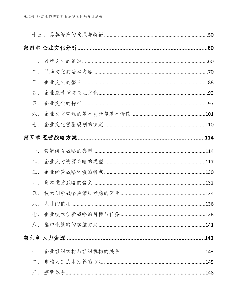 沈阳市培育新型消费项目融资计划书_范文_第3页