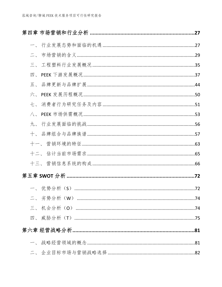 聊城PEEK技术服务项目可行性研究报告【参考范文】_第2页