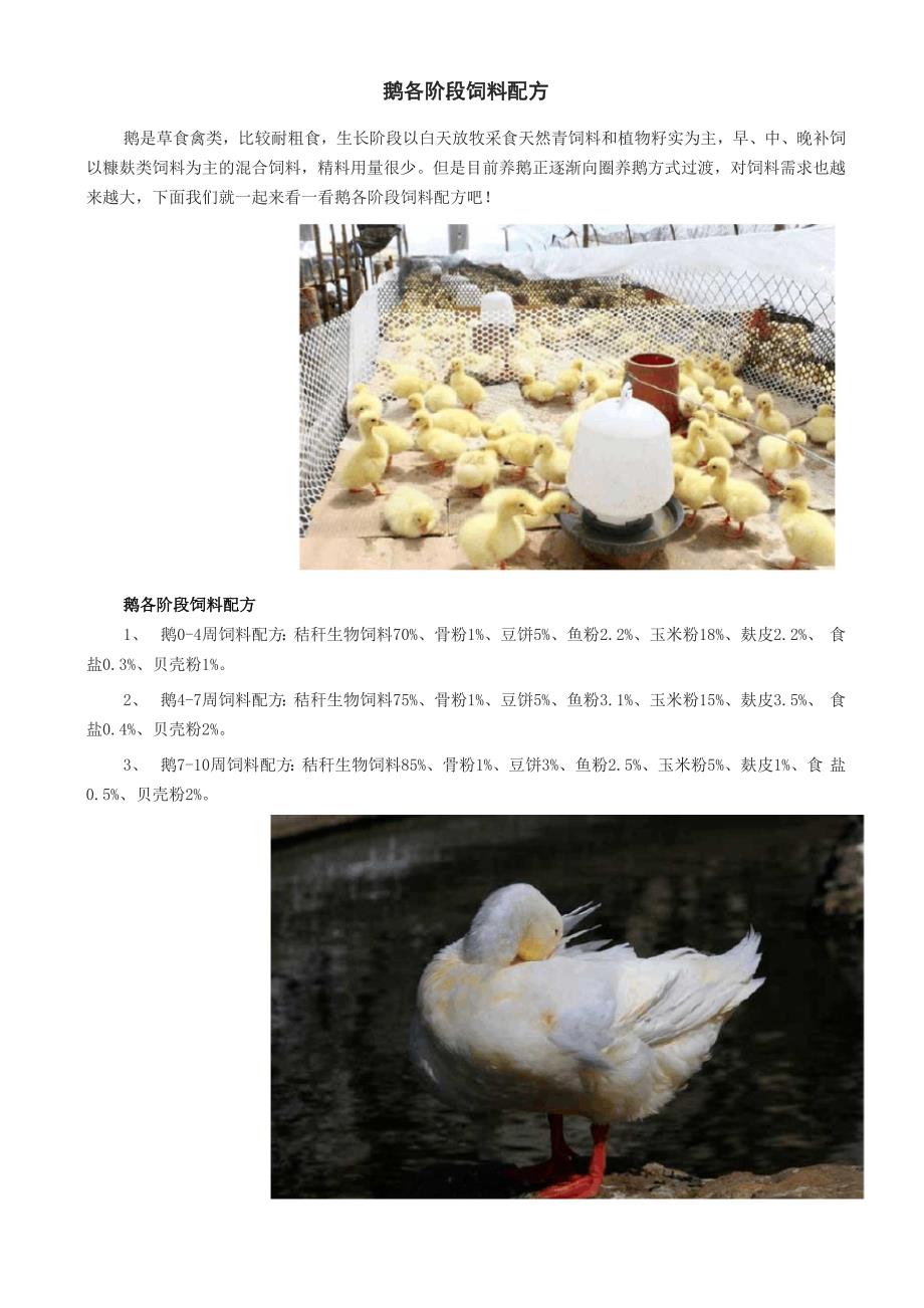 鹅各阶段饲料配方_第1页