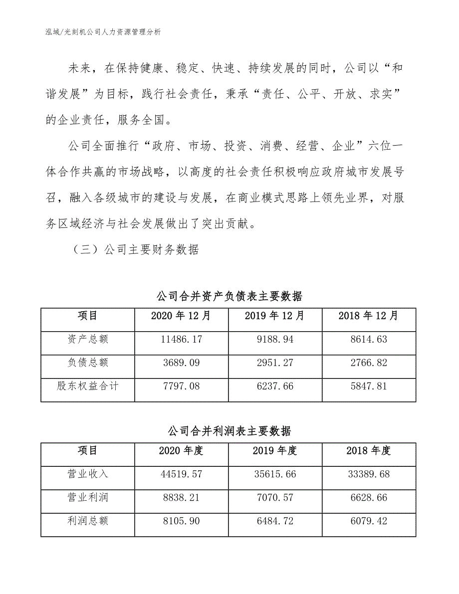 光刻机公司人力资源管理分析_第4页