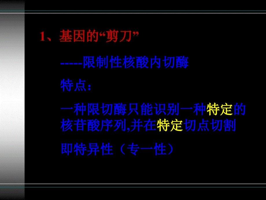 6.2基因工程及其应用_第5页