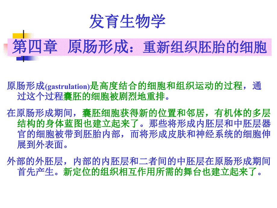 A第4原肠形成_第1页