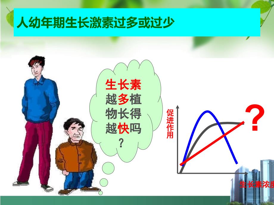 生长素的生理作用13317_第4页