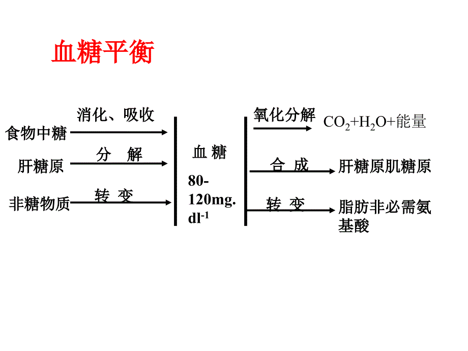 胰岛素专题复习_第3页