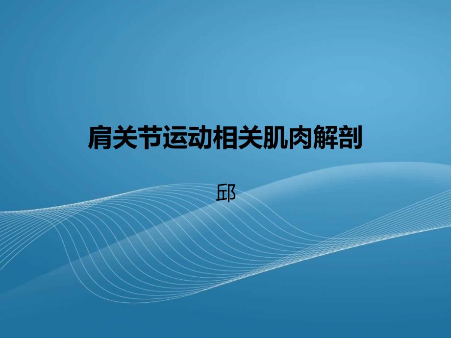 肩关节相关肌肉解剖_第1页
