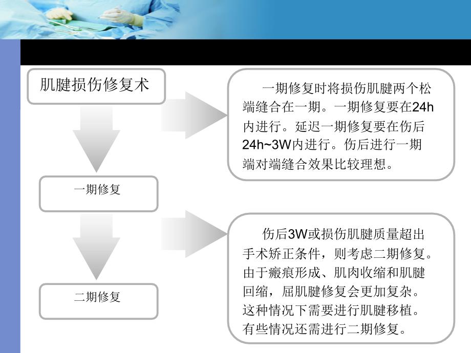 屈肌腱损伤的康复治疗ppt课件_第3页