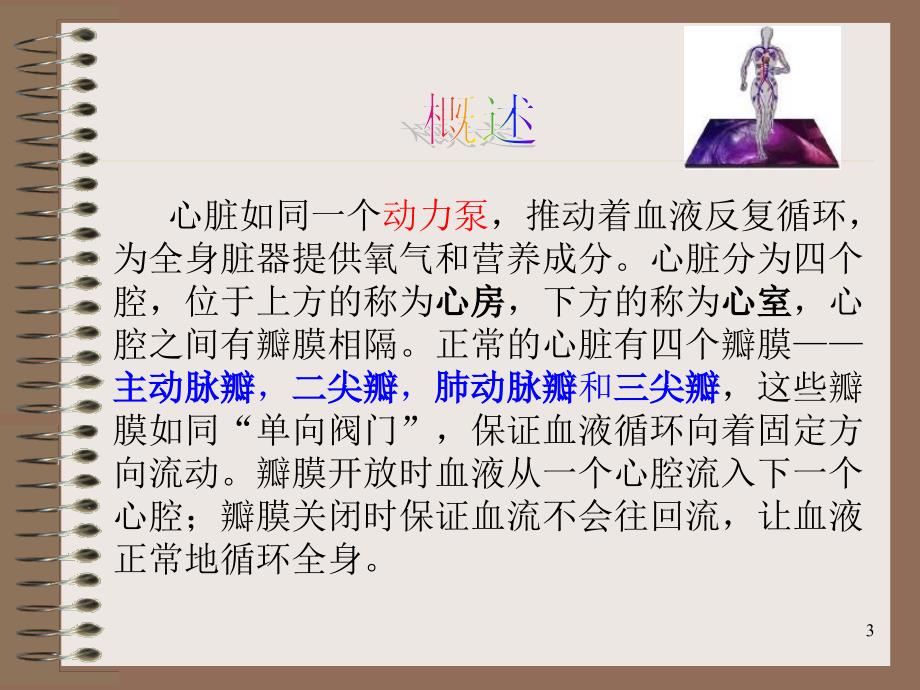 心瓣膜病病人的护理_第3页