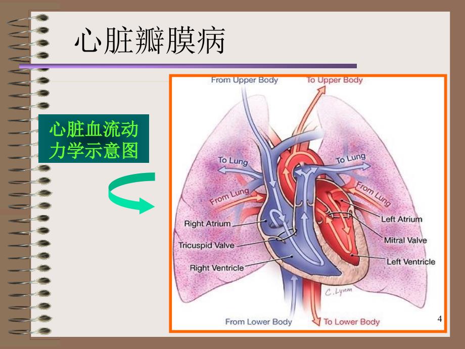 心瓣膜病病人的护理_第4页