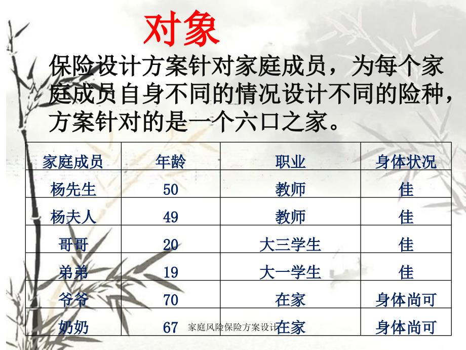 家庭风险保险方案设计_第2页