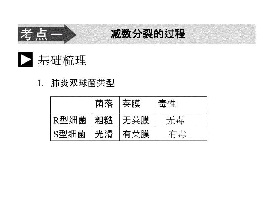 人教版教学课件生物高考一轮复习课件：必修2 第3章 第1节 DNA是主要的遗传物质 ppt_第5页