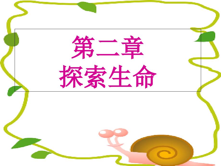 江苏省盐城市射阳县初级中学七年级生物上册课件探索生命的器具_第1页