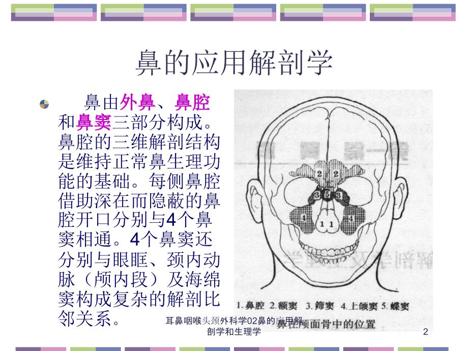 耳鼻咽喉头颈外科学02鼻的应用解剖学和生理学课件_第2页