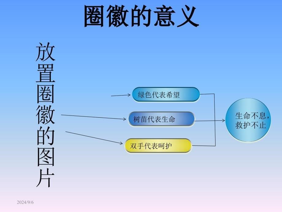 品管圈,护理文书,成果汇报_第5页