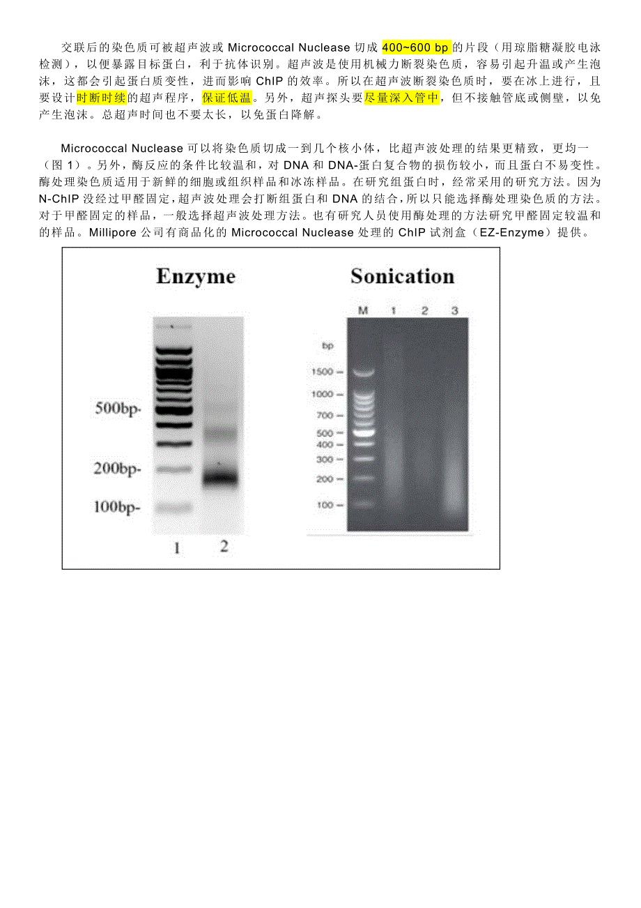 染色质免疫沉淀(ChIP)技术的难点及应用.docx_第2页