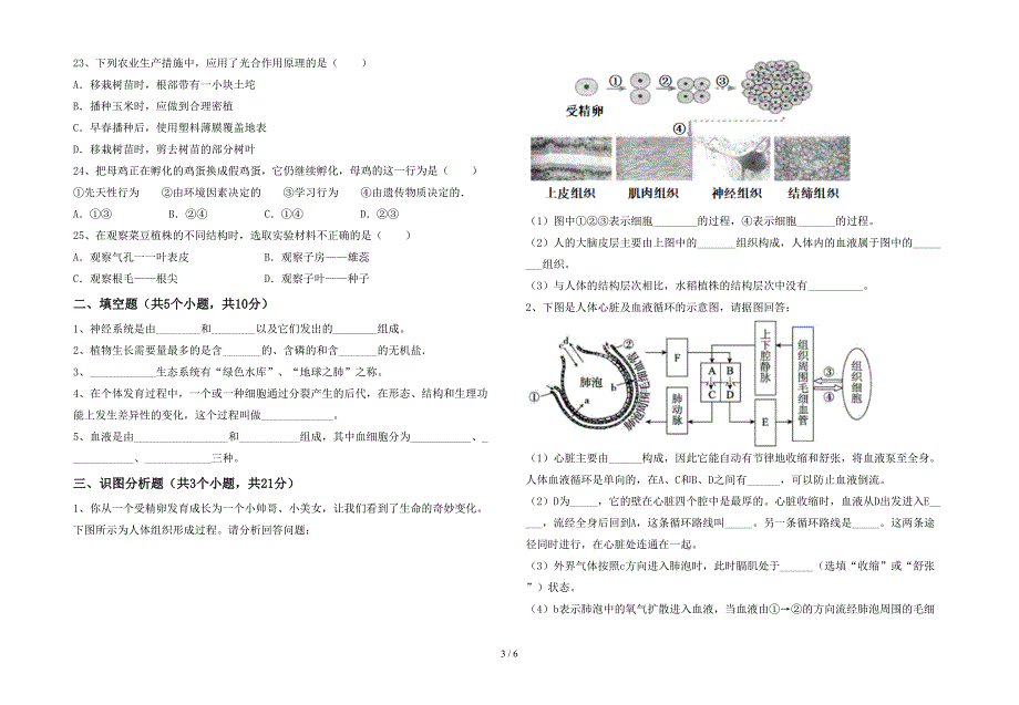 2023年苏教版七年级生物上册期末测试卷(汇编).doc_第3页