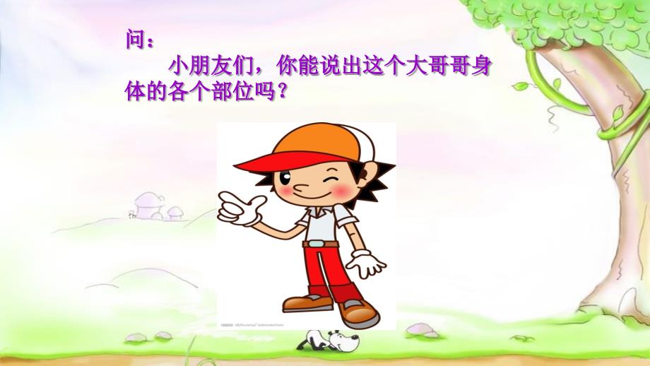 幼儿主题活动我的身体ppt课件_第3页