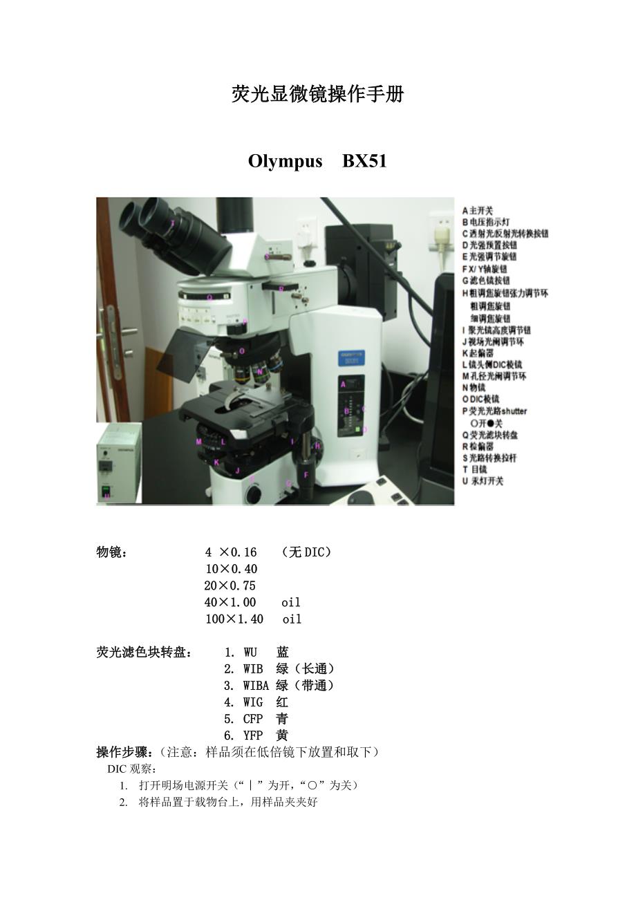 荧光显微镜操作.doc_第1页