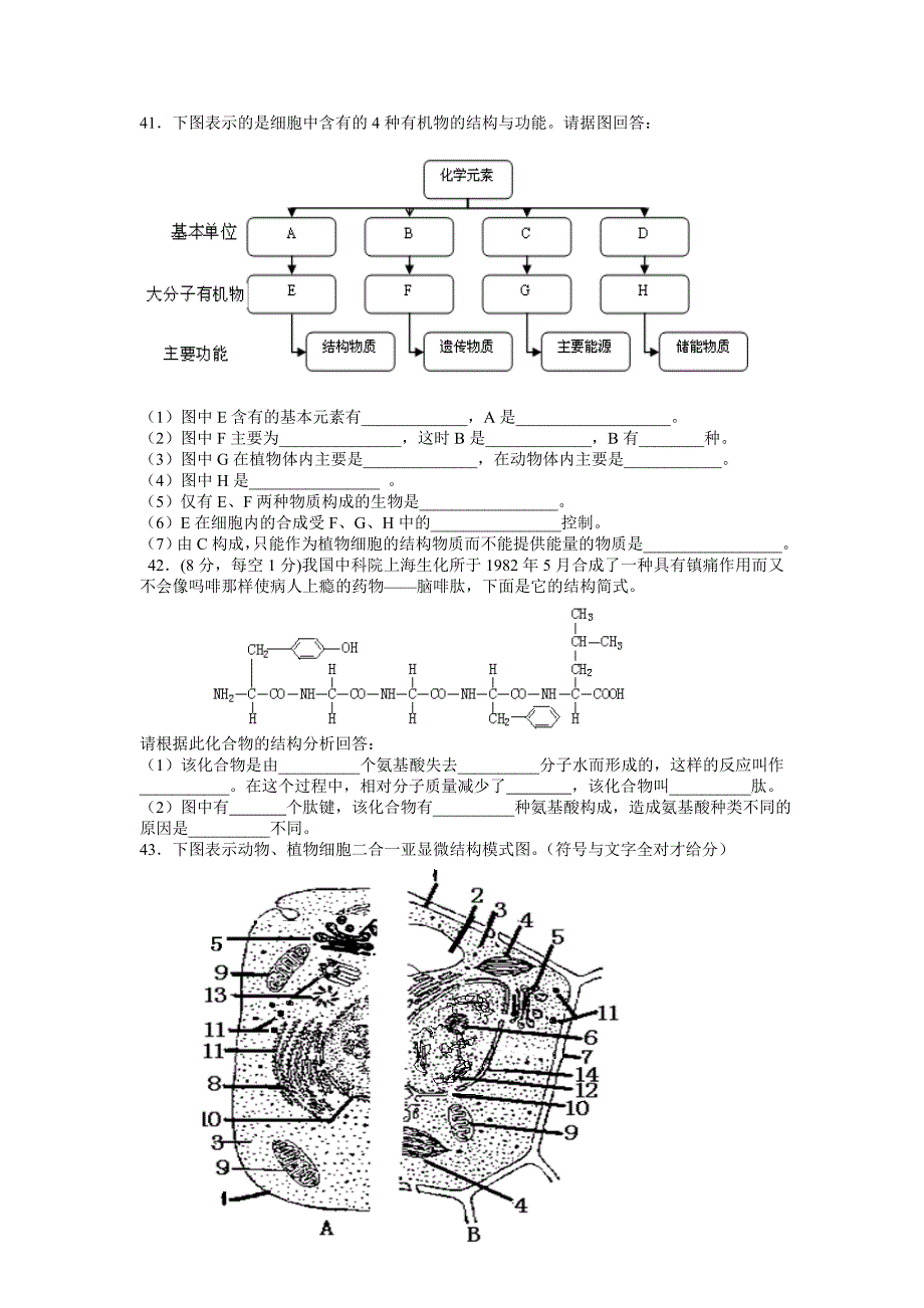 高中生物寒假作业_第4页