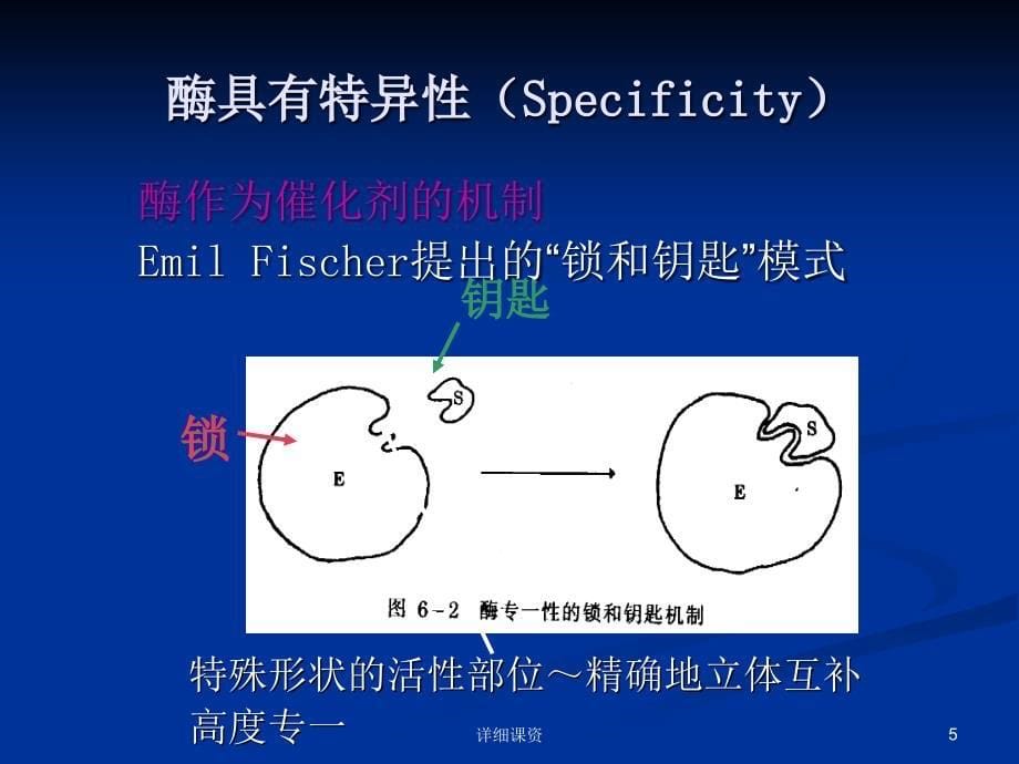 食品化学酶专业课堂_第5页