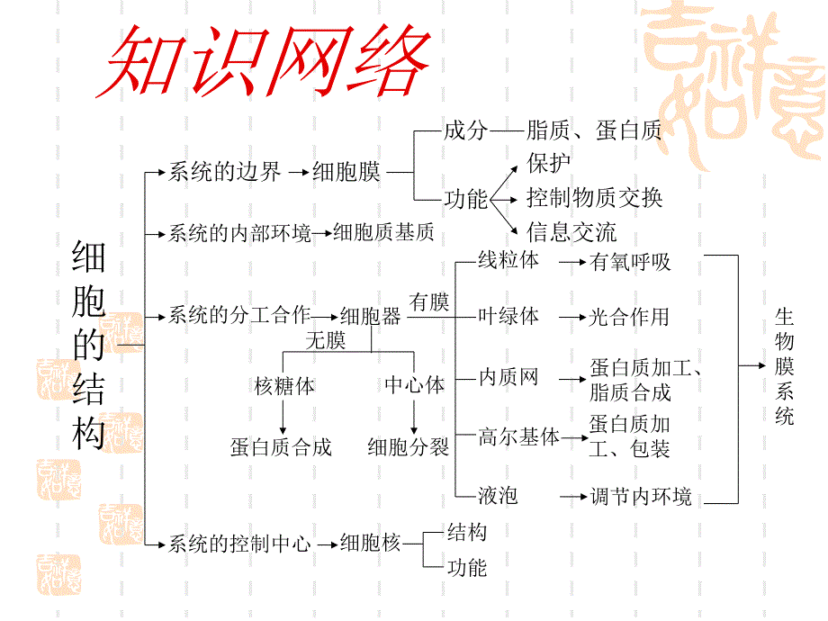 第二单元细胞的基本结构_第2页