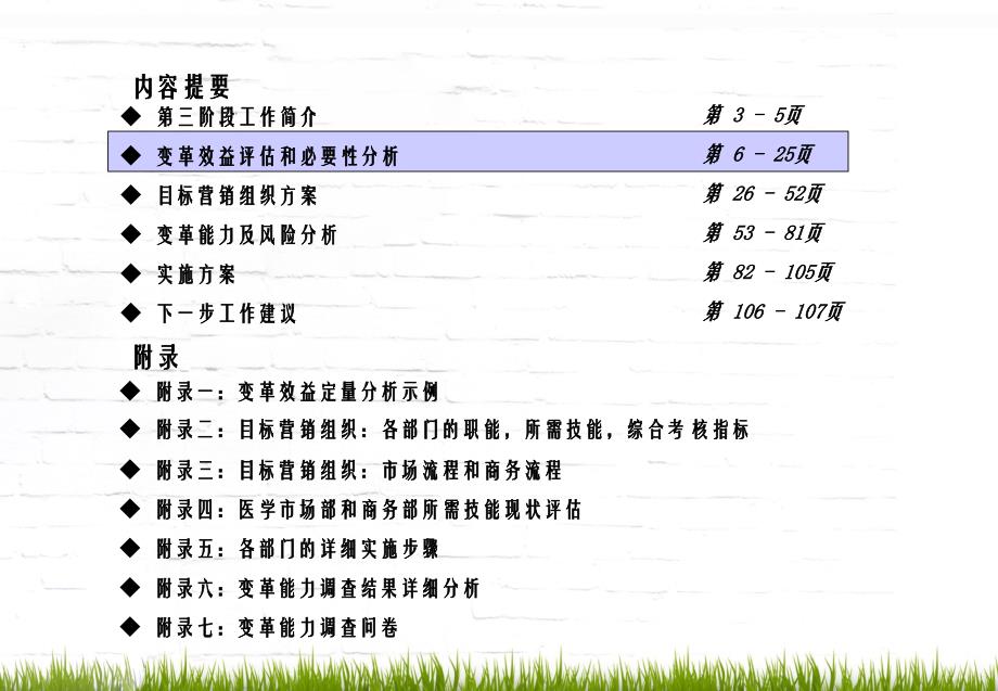 某咨询公司医药营销系统重整的咨询报告_第4页