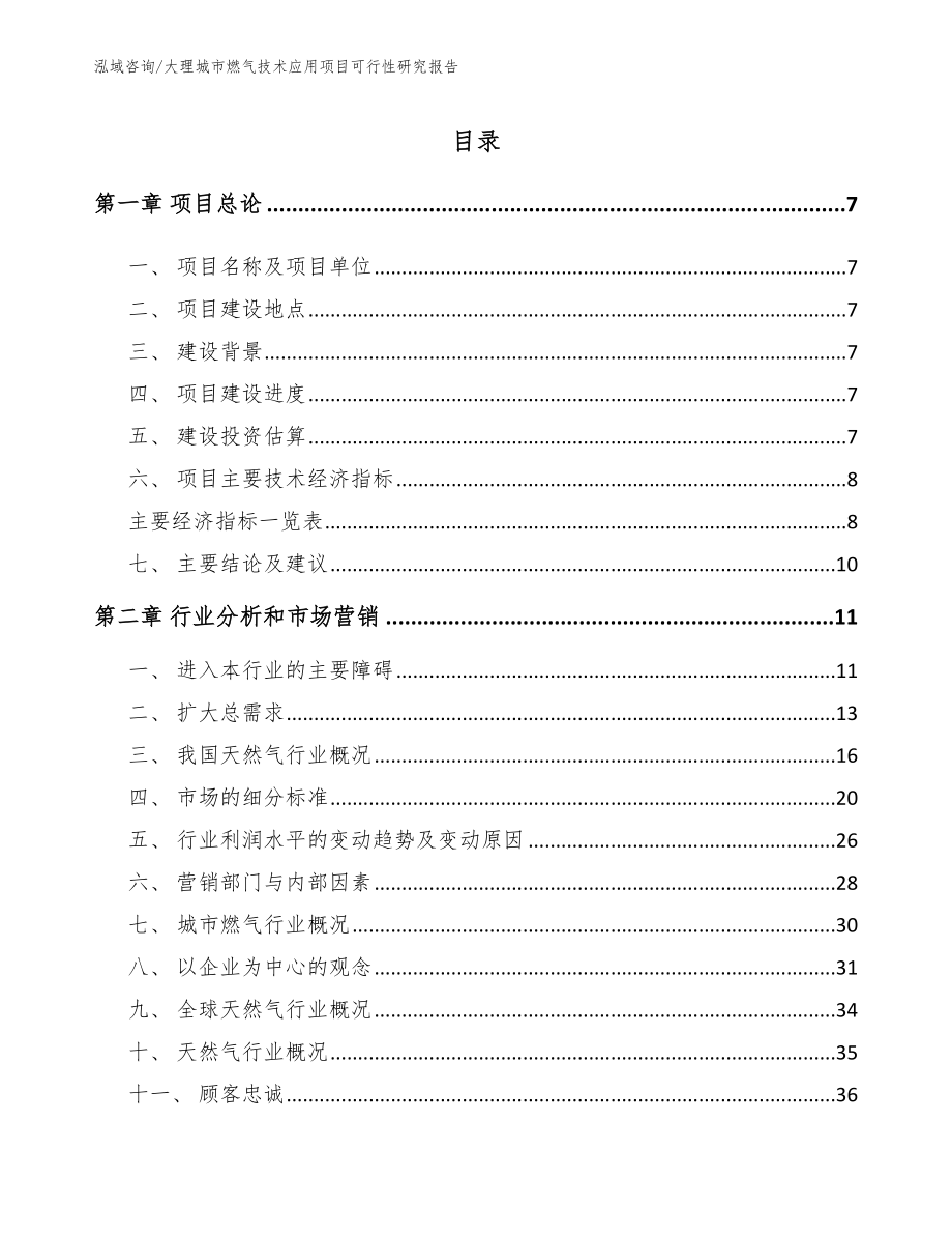 大理城市燃气技术应用项目可行性研究报告模板范本_第2页