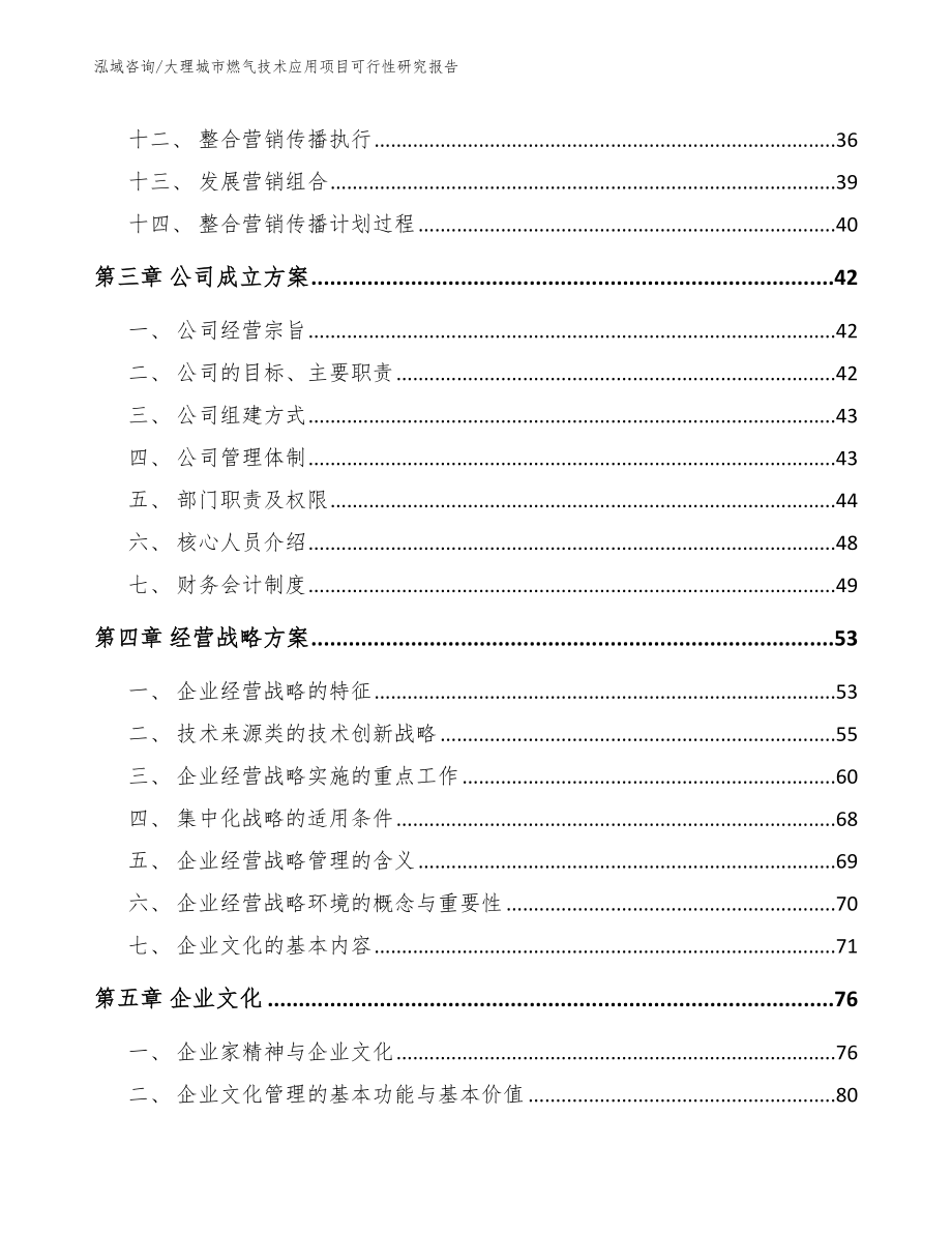 大理城市燃气技术应用项目可行性研究报告模板范本_第3页