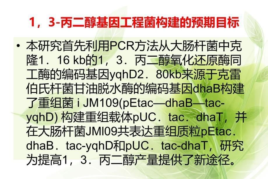 基因工程菌构建_第5页