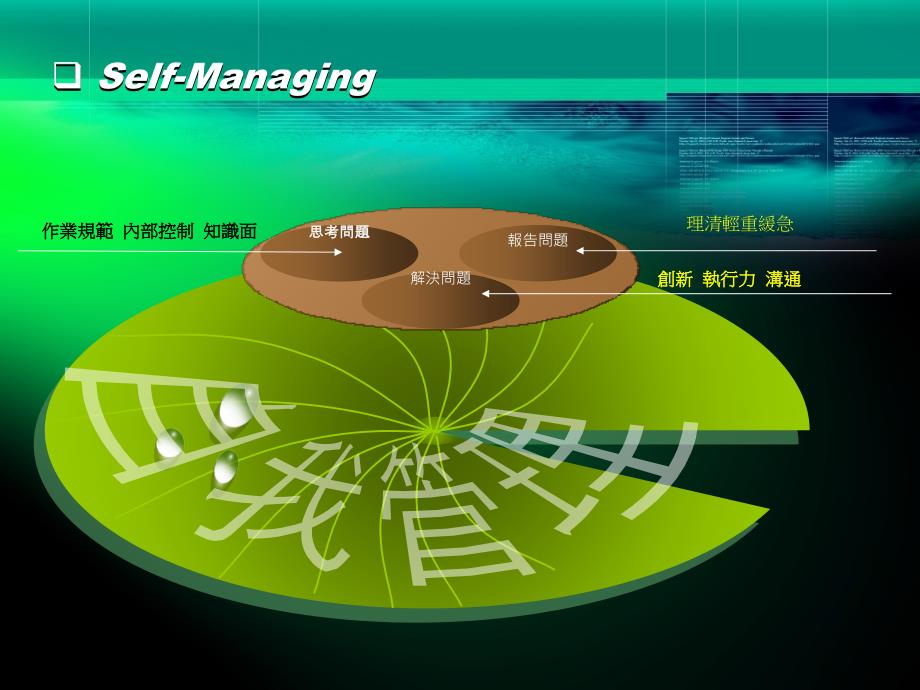 简单的自我工作规划案_第3页