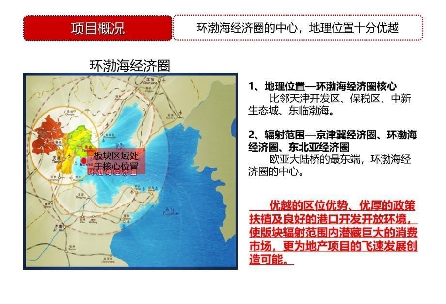 天津东疆港住宅项目前期策划定位ppt课件_第5页