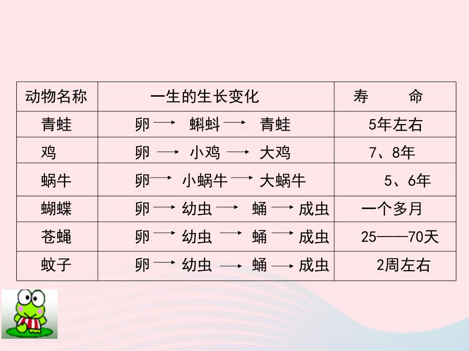 最新三年级科学下册动物的生命周期1蚕卵里孵出的新生命课件1_第2页