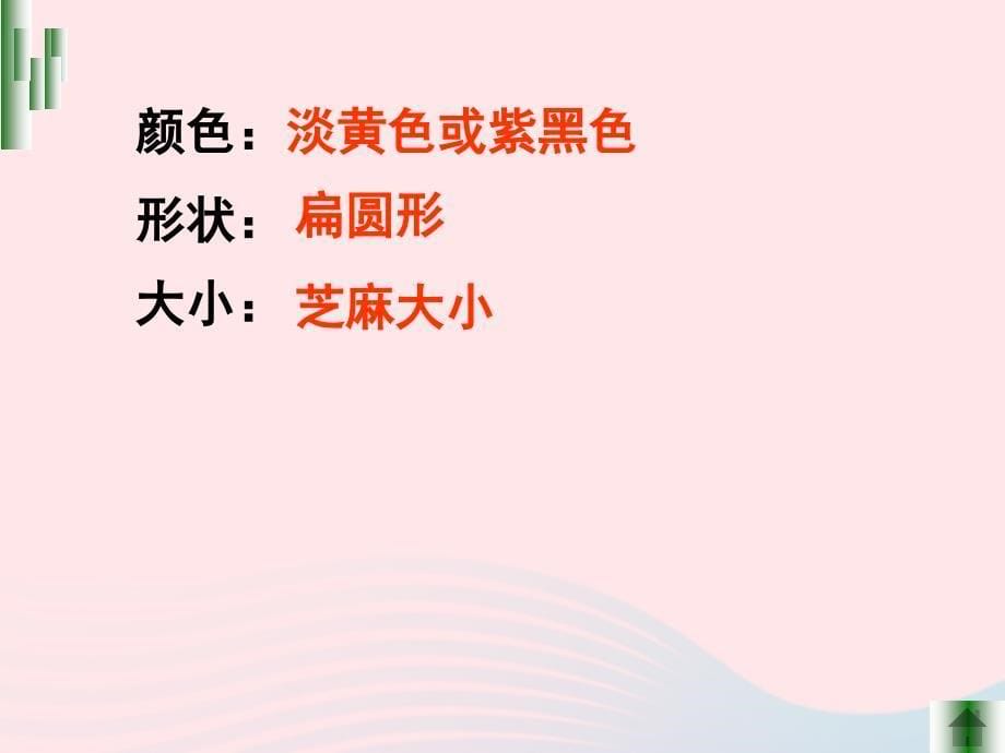 最新三年级科学下册动物的生命周期1蚕卵里孵出的新生命课件1_第5页