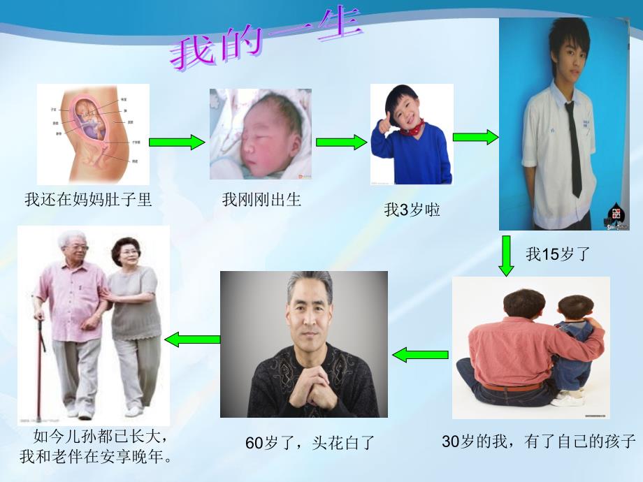 最新三年级科学下册动物的生命周期7我们的生命周期课件2_第4页