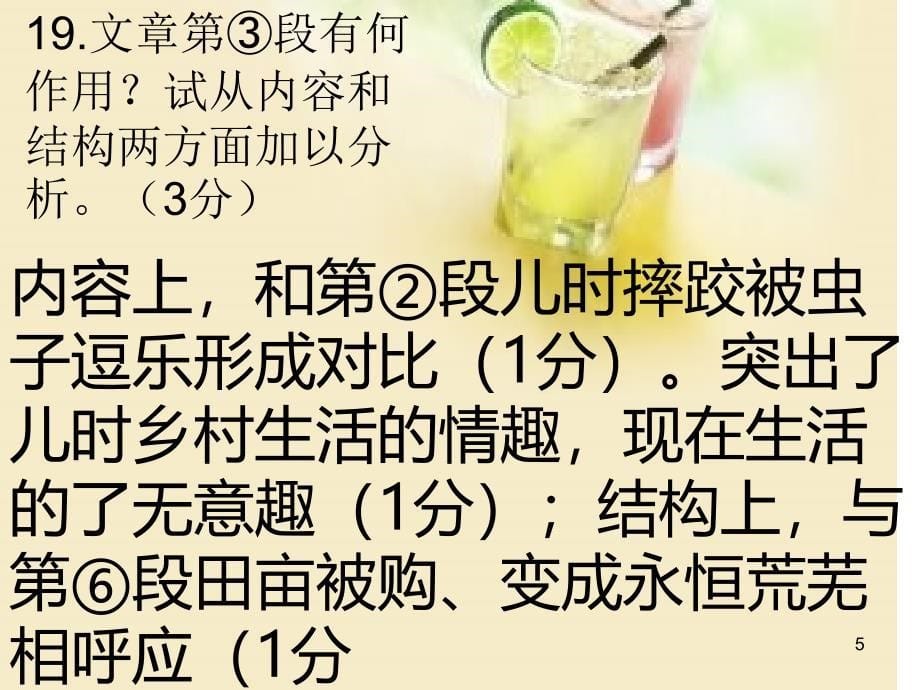 远去的乡村阅读题_第5页