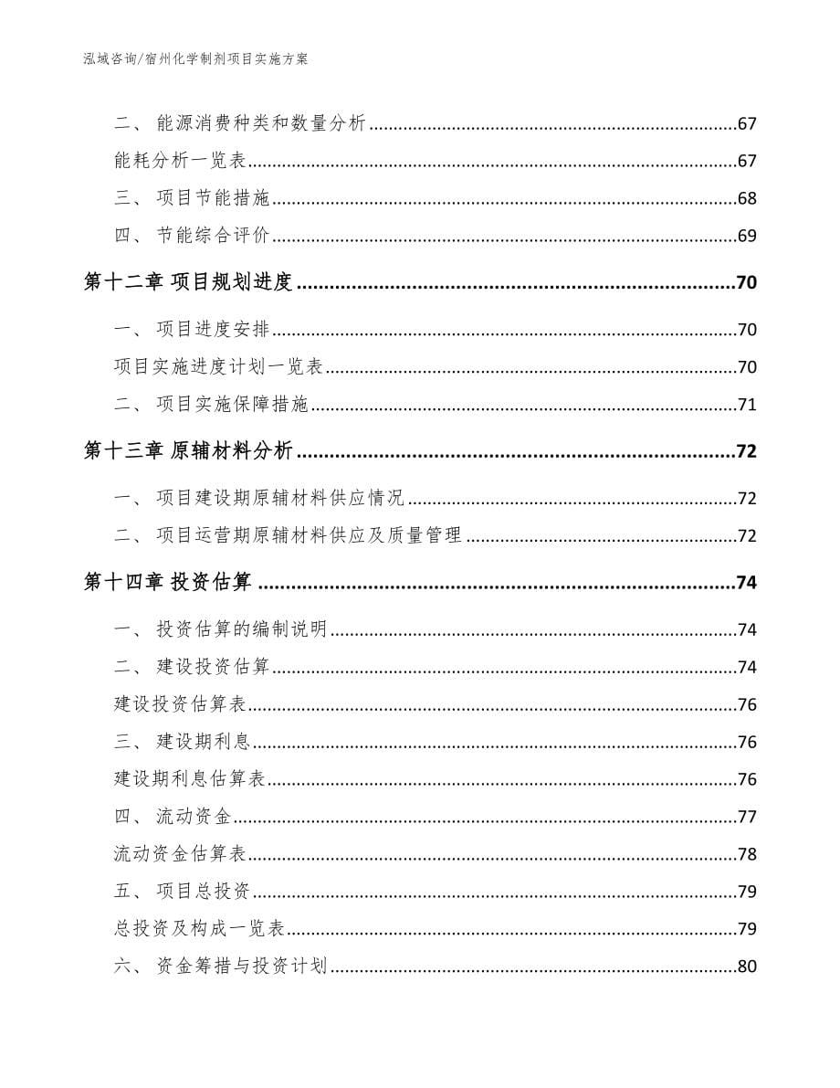 宿州化学制剂项目实施方案模板范本_第5页