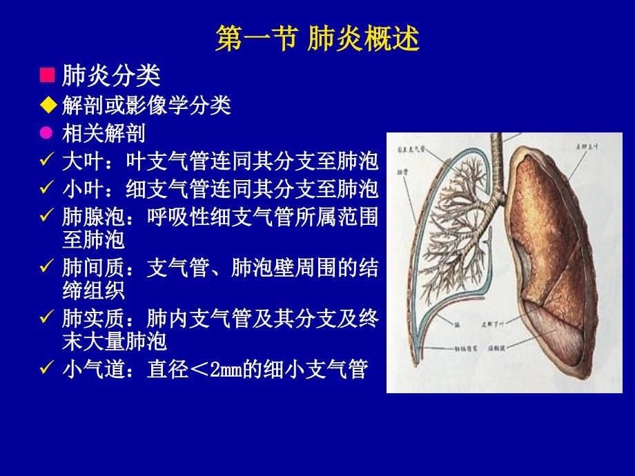 肺部感染性疾病诊治_第5页