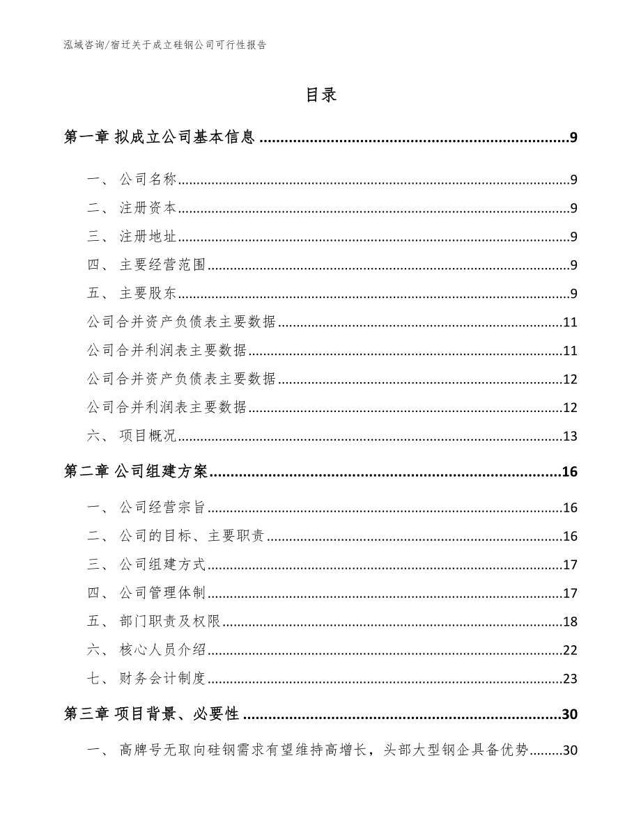 宿迁关于成立硅钢公司可行性报告【参考范文】_第2页