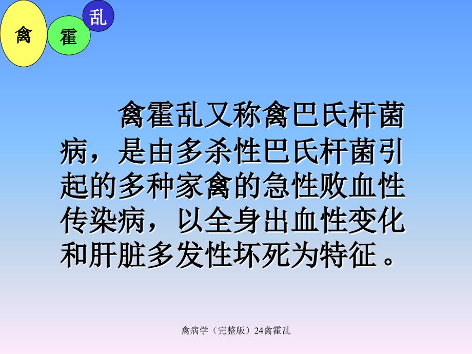 禽病学完整版24禽霍乱课件_第2页