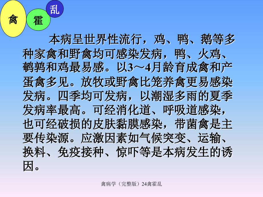 禽病学完整版24禽霍乱课件_第4页