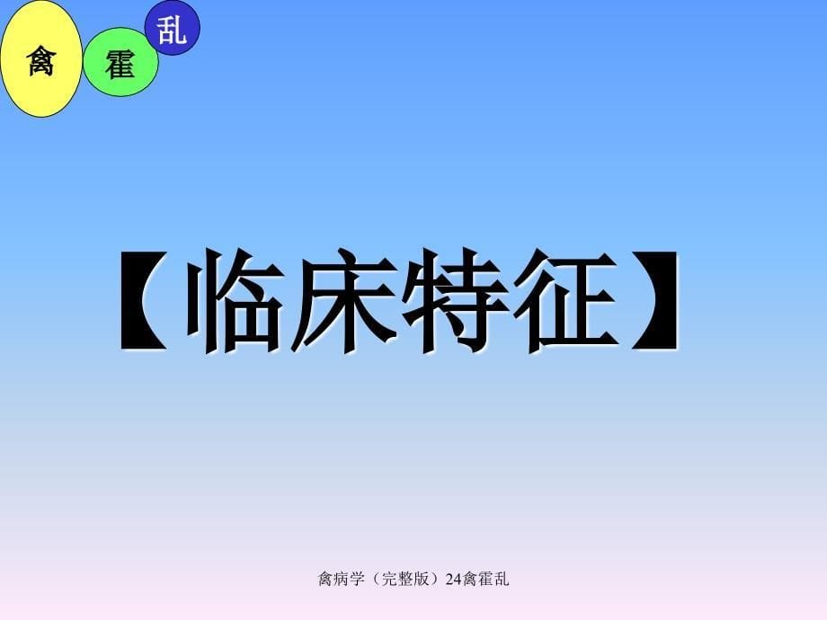 禽病学完整版24禽霍乱课件_第5页