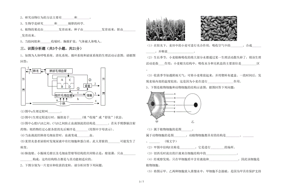 2023年人教版七年级上册《生物》期末考试题【及参考答案】.doc_第3页