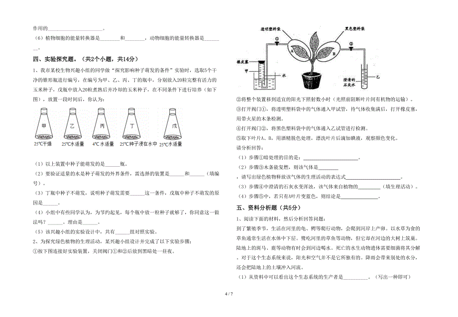 2023年人教版七年级上册《生物》期末考试题【及参考答案】.doc_第4页